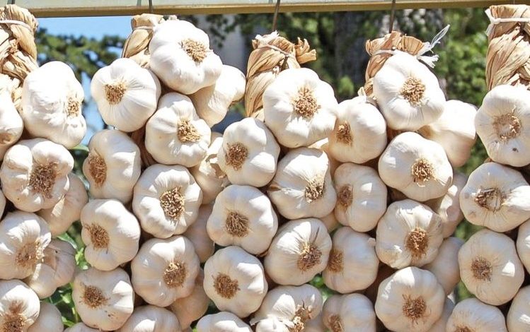 SHËNDETI I VESHKAVE NIS NË TRYEZË/ Cilat janë ushqimet më të mira