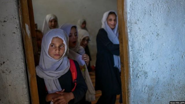 E REJA SFIDON TALEBANËT/ Hap shkollën online për vajzat afgane: Stilolapsi në vend të armës