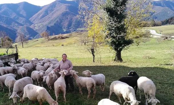 500 ORË LEKSIONE/ “The Guardian”: Si po ngrihet në Spanjë shkolla për barinjtë