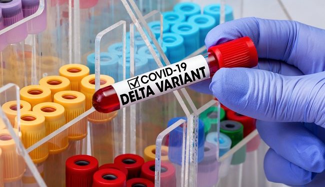 PËRHAPJA E DELTA PLUS NË GJERMANI/ Të hënën dërgohen në Gjermani mostra të tjera