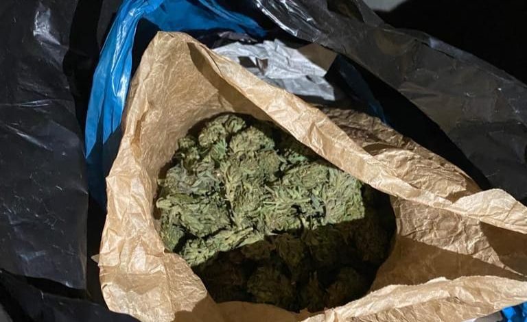 SEKUESTROHEN 2 KG KANABIS NË MIRDITË/ Ja si e pëson 62-vjeçari