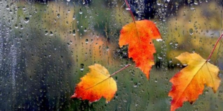 PLANE PËR TË DIELËN? Ja sa shkojnë temperaturat! Rrebeshe SHIU dhe…