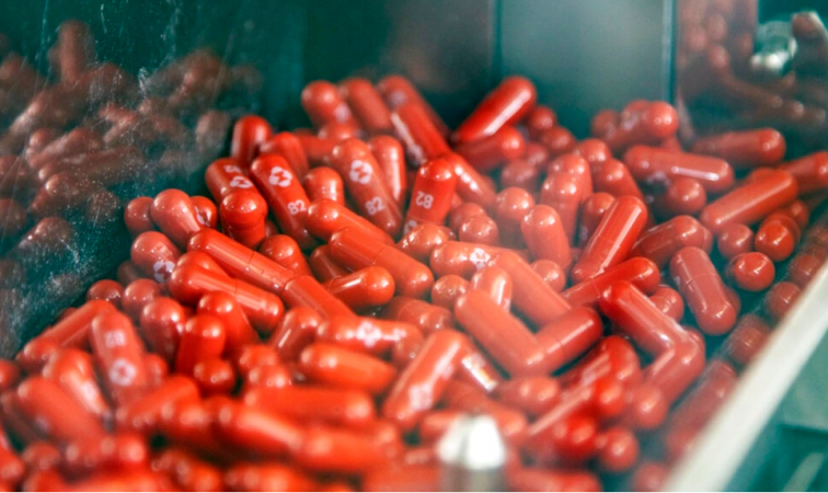 PUBLIKOHET RAPORTI: Pilula kundër Covid-19 nuk duhet të përdoret nga gratë shtatzëna