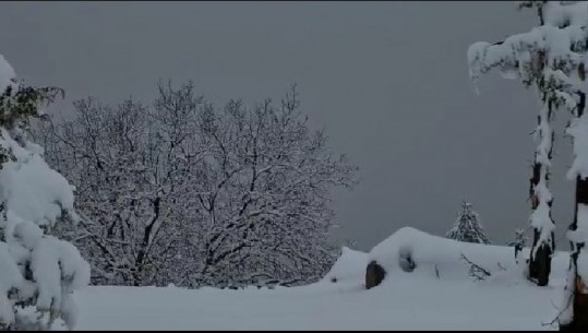 DERI NË 25 CENTIMETRA TRASHËSI/ Malësia e Krujës mbulohet nga dëbora! Zona e Qafështamës prej 2 ditësh…