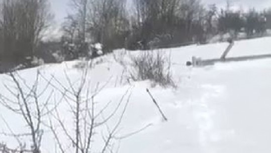 DËBORA MBULON DIBRËN/ Dëmtohet shtylla, pa drita zona rreth Kalasë së Dodës, OSHE: Jemi ne terren