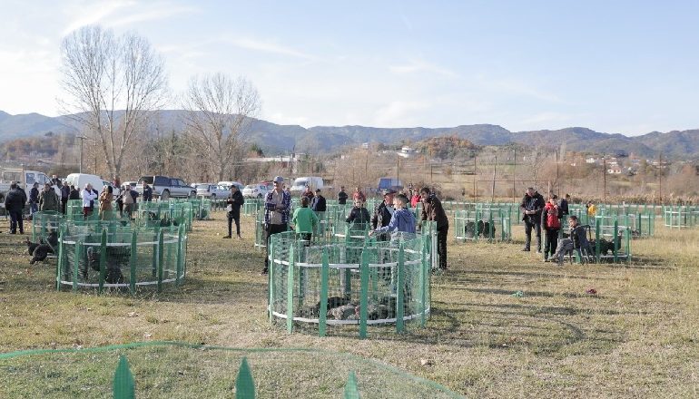 VIZITON TREGUN E GJELAVE NË BALDUSHK/ Veliaj: Nëse blini një gjel, ndihmoni një familje