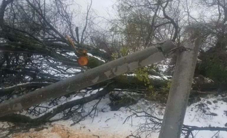 MOTI I KEQ NË KORÇË/ Prej 5 ditësh i izoluar nga bora, fshati Panarit edhe pa energji elektrike