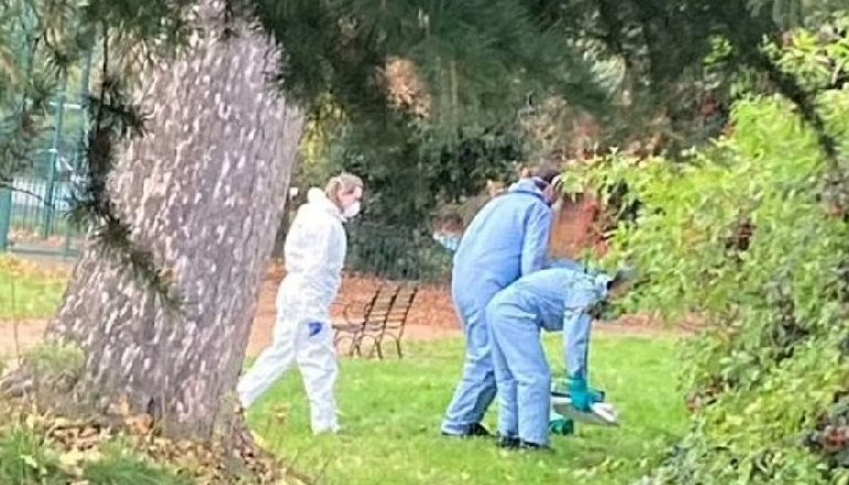 E ZHDUKUR PAK DITË MË PARË/ Fëmijët gjejnë trupin e pajetë të infermieres në parkun e lojërave