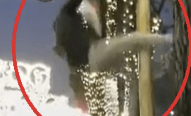 “UNË TRADHTAR, KY PATRIOT”/ Rama poston videon teksa i riu bie nga lartësia kur përpiqet të tërheqë flamurin serb