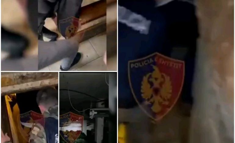 DALIN PAMJET/ Gruaja me “shtëpi bari” në Shkodër! Si i zbuloi policia shkallët sekrete që të çonin tek laboratori