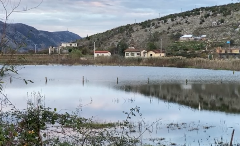 PËRMBYTJET/ Niveli i ujërave në lumenj në kuota normale, 100 hektarë tokë në Lezhë mbeten me prezencë uji