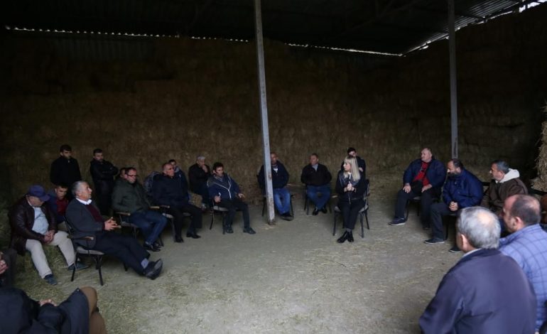 BUXHETI I BUJQËSISË/ Krifca: 600 milionë lekë shtesë në mbështetje direkte për blegtorët dhe bletarët…