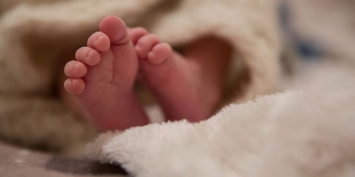 NXJERR DOKUMENTET/ Bashkia Has: Familja ku vdiq foshnja 3-muajshe kishte mbështetje maksimale