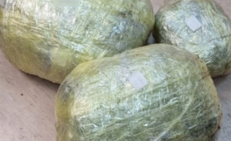 SEKUESTROHEN 10 KG MARJUANË NË KORFUZ/ Çfarë ndodhi me shqiptarin