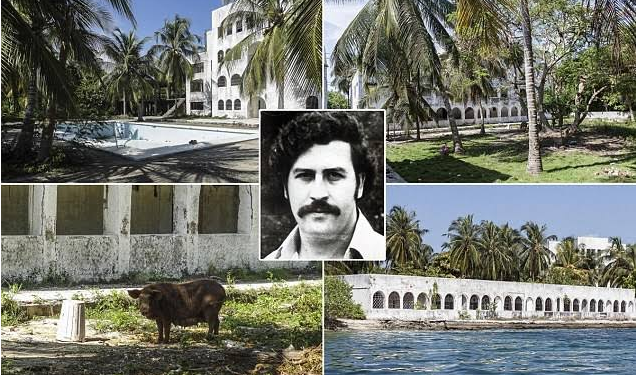 NGA XHAKUZI TEK SAUNA DHE UJËVARA/ Pamje mahnistëse nga vila e bosit të drogës Pablo Escobar