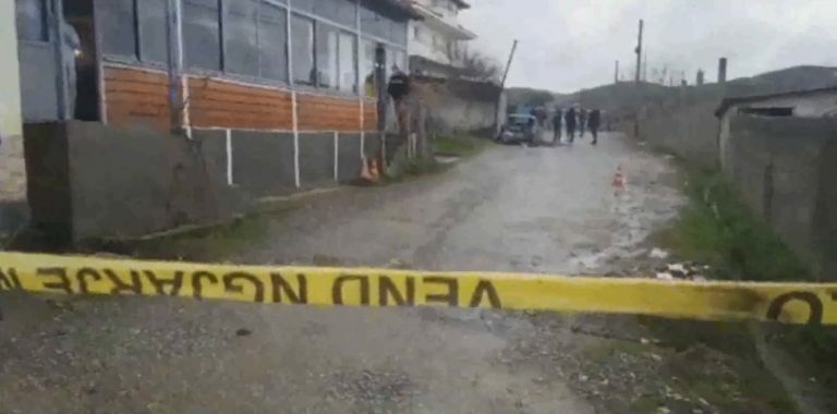 VRASJA E ALBI BASHALIUT NË PEQIN/ Arrestohen dy persona, përkrahën autorët e krimit