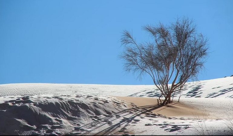 FENOMENI I RRALLË/ Shkretëtira e Saharasë mbulohet nga dëbora (FOTO)