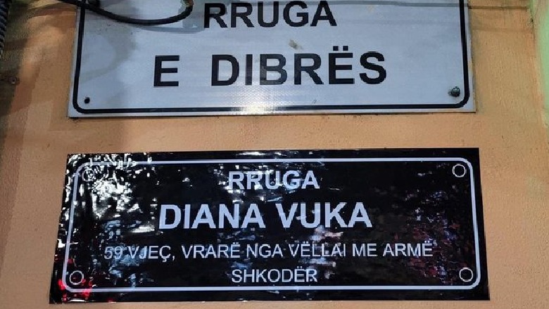 SENSIBILIZIMI/ 20 rrugë të kryeqytetit “vishen” me emrat e grave të vrara nga burrat