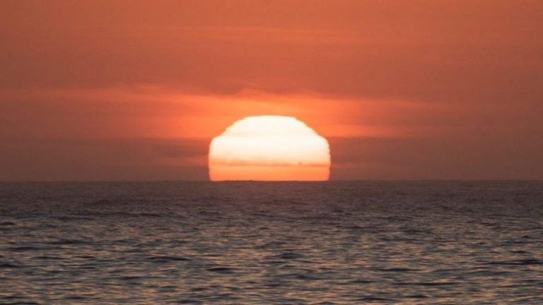 I NXEHTI EKSTREM NË AUSTRALI/ Temperaturat arrijnë në 50.7 gradë Celsius