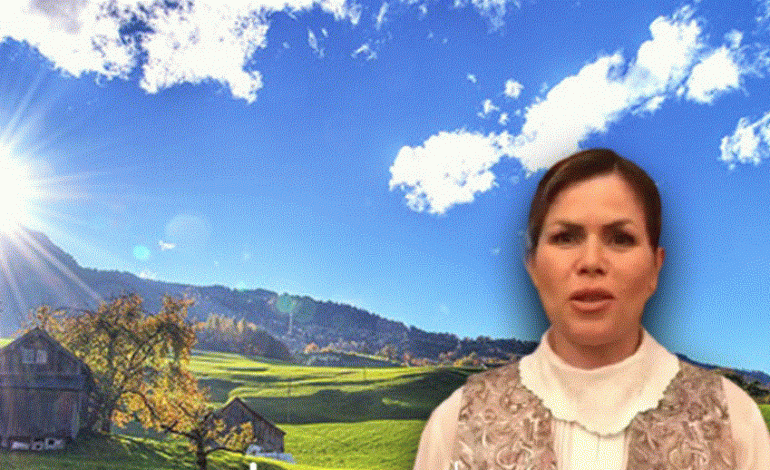 JANARI SI PRANVERË/ Temperatura të larta dhe diell deri në fundjavë, të shtunën nis “kthesa”