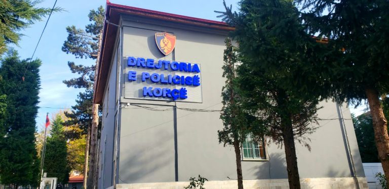 ANALIZA E POLOCISË SË KORÇËS/ Mbi 95% e veprave penale të zbuluara, 19 operacione të finalizuara