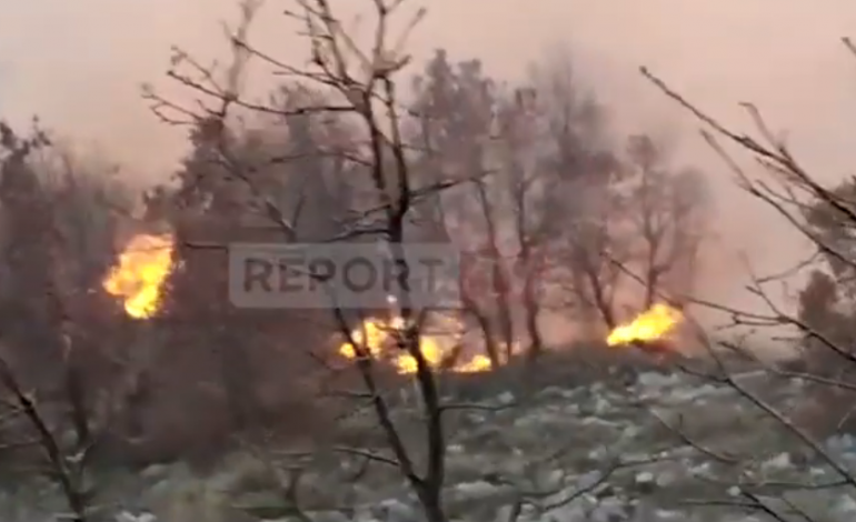 ZJARRI “KAPLON” PARKUN E LLOGARASË/ Zjarrfikësit në “luftë” me flakët prej disa orësh, terreni i vështirë (VIDEO)