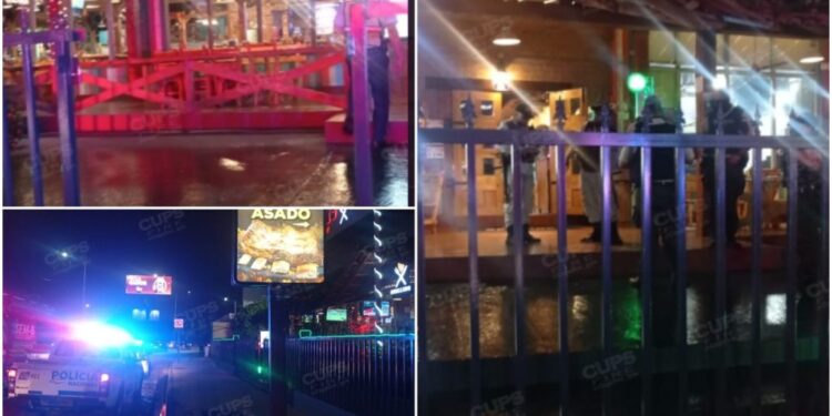 EKZEKUTIMI I ERGYS DASHIT/ Zhdukja e 5000 pakove me kokainë në Roterdam dyshohet se u bë shkak për vrasjen e shqiptarit