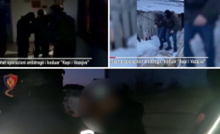 PUBLIKOHEN PAMJET/ 14 të arrestuarit lidhje familjare dhe fisnore mes tyre. Ja si funksiononte skema kriminale