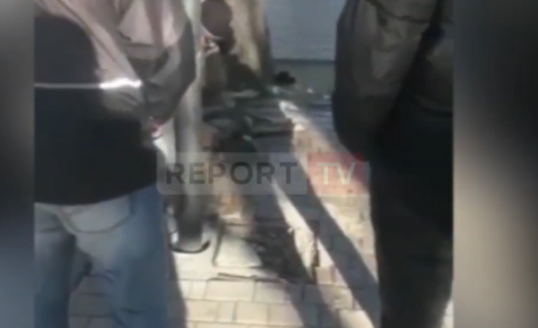 E RËNDË KORÇË/ Qentë të helmuar në rrugët e qytetit tmerrojnë banorët (FOTO+VIDEO)
