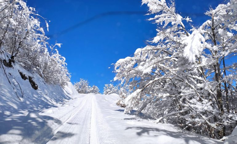 ÇDO GJË E VESHUR NGA BORA/ Pamjet mahnitëse nga Parku Kombëtar Shebenik-Jabllanicë (FOTO+VIDEO)