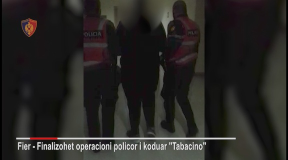 PAMJET NGA AKSIONI/ Me 88 doza kokaine gati për shitje, arrestohet 26-vjeçari në Fier