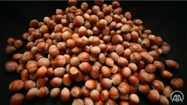 SHIFRA MARRAMENDËSE/ Ja sa fiton Turqia nga lajthia