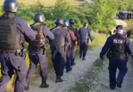 OPERACIONI/ Kultivonin kanabis, arrestohen të gjithë burrat e një fshati në Mat