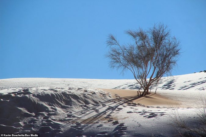 KA SHËNUAR REKORDIN 58 GRADË CELCIUS/ Shkretëtira e Saharasë mbulohet nga dëbora, temperaturat bien nën zero (FOTO)