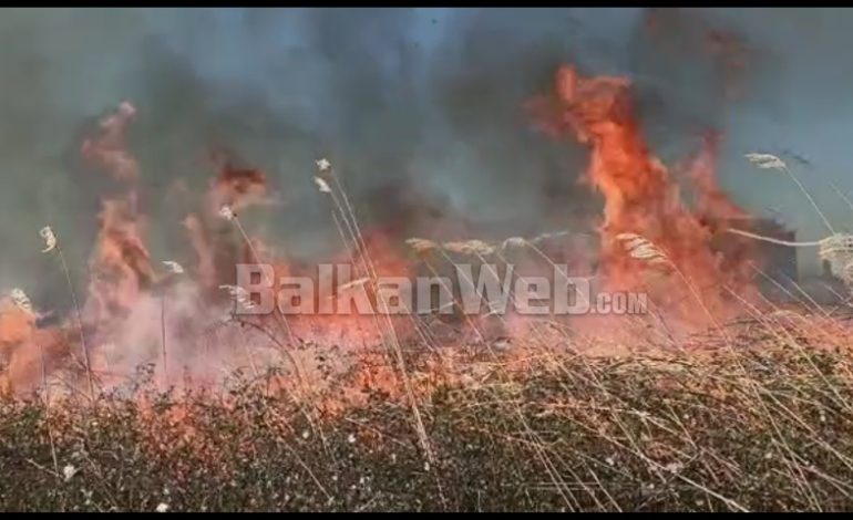 PAMJET/ Zjarri në Shëngjin i afrohet banesave, era e fortë favorizon përhapjen e flakëve