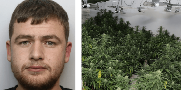 “MË DETYRUAN TË…”/ 25-vjeçari shqiptar kapet brenda shtëpisë së barit në Britani