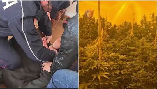 BRENDA “SHTËPISË SË BARIT” NË TIRANË/ Momenti kur policia shtrin në tokë trafikantin! Arrestohet i riu, pranga edhe dy punonjës të OSHEE-së