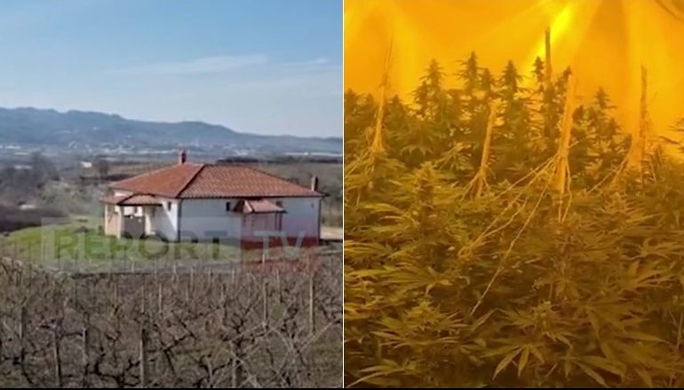 LABORATOR DROGE NË TIRANË/ “Shtëpia e barit” u zbulua nga SHÇBA. Pronari jetonte në Austri, e dha me qira (DETAJET)