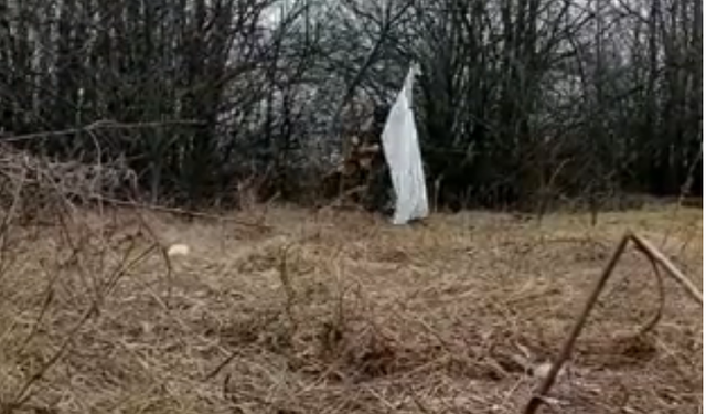 VIDEOLAJM/ Tundin flamurin e bardhë! 2 ushtarë ukrainas u dorëzohen rusëve