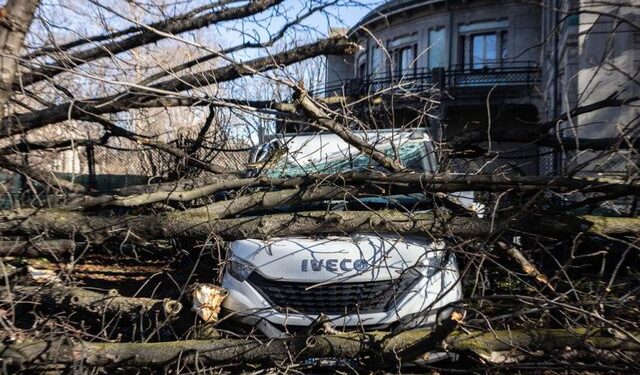 ERËRA TË FORTA DERI NË 90 KM/H/ Rrëzohen pemë e thyen xhama. Disa të lënduar në Milano (FOTO)