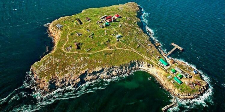 SULMI NË UKRAINË/ U shpallën “heronj” pasi kundërshtuan rusët në Ishullin e Gjarpërinjve, por 13 marinarët ukrainas janë gjallë