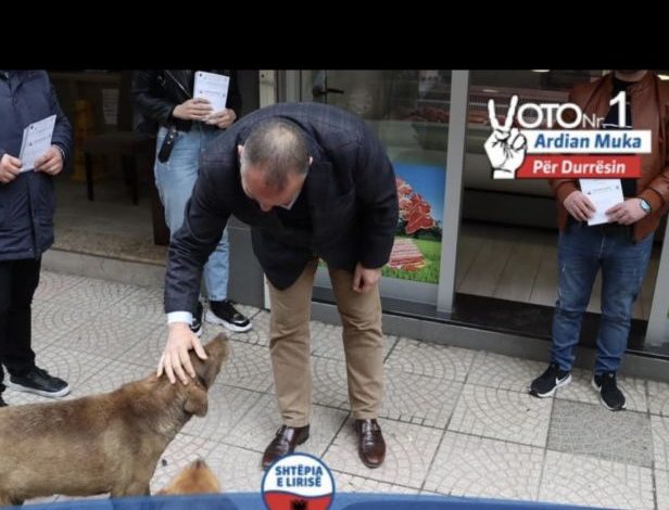 FOTOLAJM/ Kandidati i Berishës në Durrës, “siguron” votën e një qeni endacak gjatë vizitës në tregun e qytetit