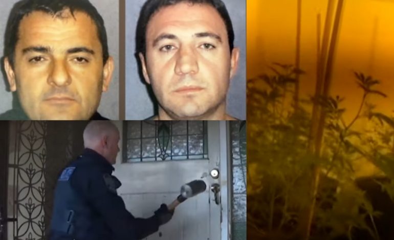 DALIN PAMJET/ Pas Anglisë, shqiptarët ngrenë “shtëpitë e barit” në Australi. Dy vëllezër kapen për trafik droge…