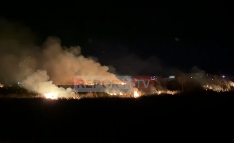SITUATA NË SHËNGJIN/ Zjarri në lagunën e Knallës vijon të jetë aktiv, digjen 10 hektarë bimësi (VIDEO)