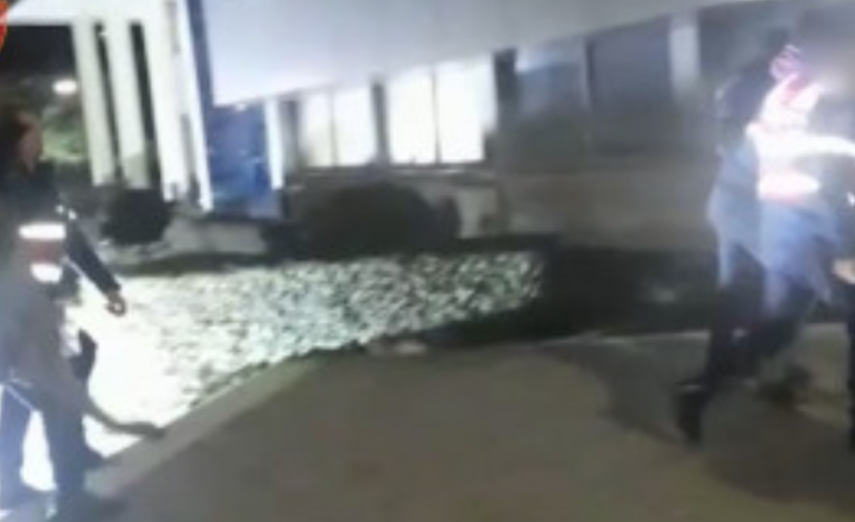 KANABIS DHE ARMË/ Operacioni që çoi në pranga dy vëllezër në Përmet, në telashe edhe babai i tyre