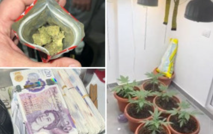 PAMJET/ Gjendet një tjetër “shtëpi bari” në Tiranë, arrestohen dy persona. Sekuestrohen mbi 20 mijë euro
