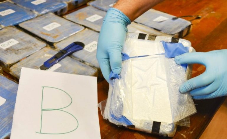 ISHTE FSHEHUR NË NJË MAUNE/ Sekuestrohen 83.5 kg drogë në Kosovë