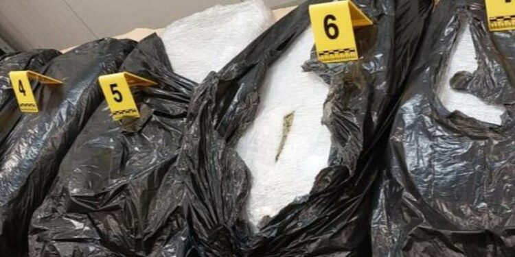 SEKUESTROHEN 50 KG MARIHUANË/ Arrestohet ish-sekretari i ministrisë së Industrisë në Malin e Zi