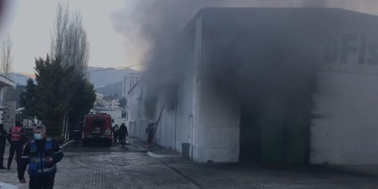 TYMI I ZI “MBULON” ZONËN/ Merr flakë fabrika e përpunimit të peshkut në Lezhë, devijohet rruga për Tiranë