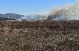 ZJARR NË SHËNGJIN/ Flakët depërtojnë në lagunën e mbrojtur të Kunes! DYSHOHET…